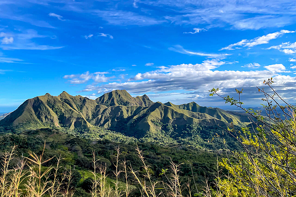 Grüne Berglandschaft Picachos Mountain