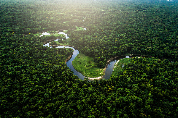 Luftbild des Amazonas.