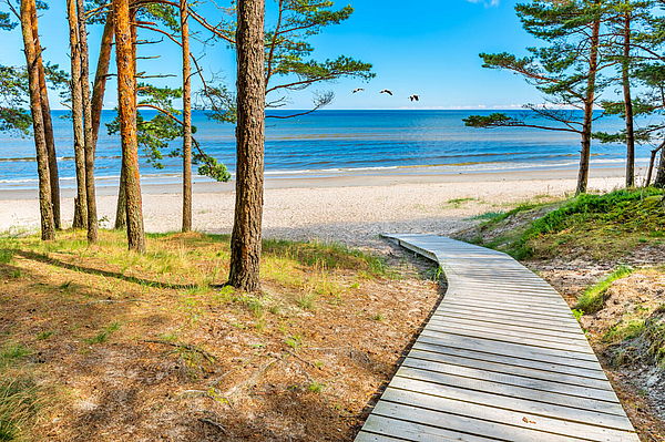 Holzsteg führt durch Kiefernwald zu einem hellen Sandstrand an der Ostsee sanfte Wellen und Vögel in der Luft