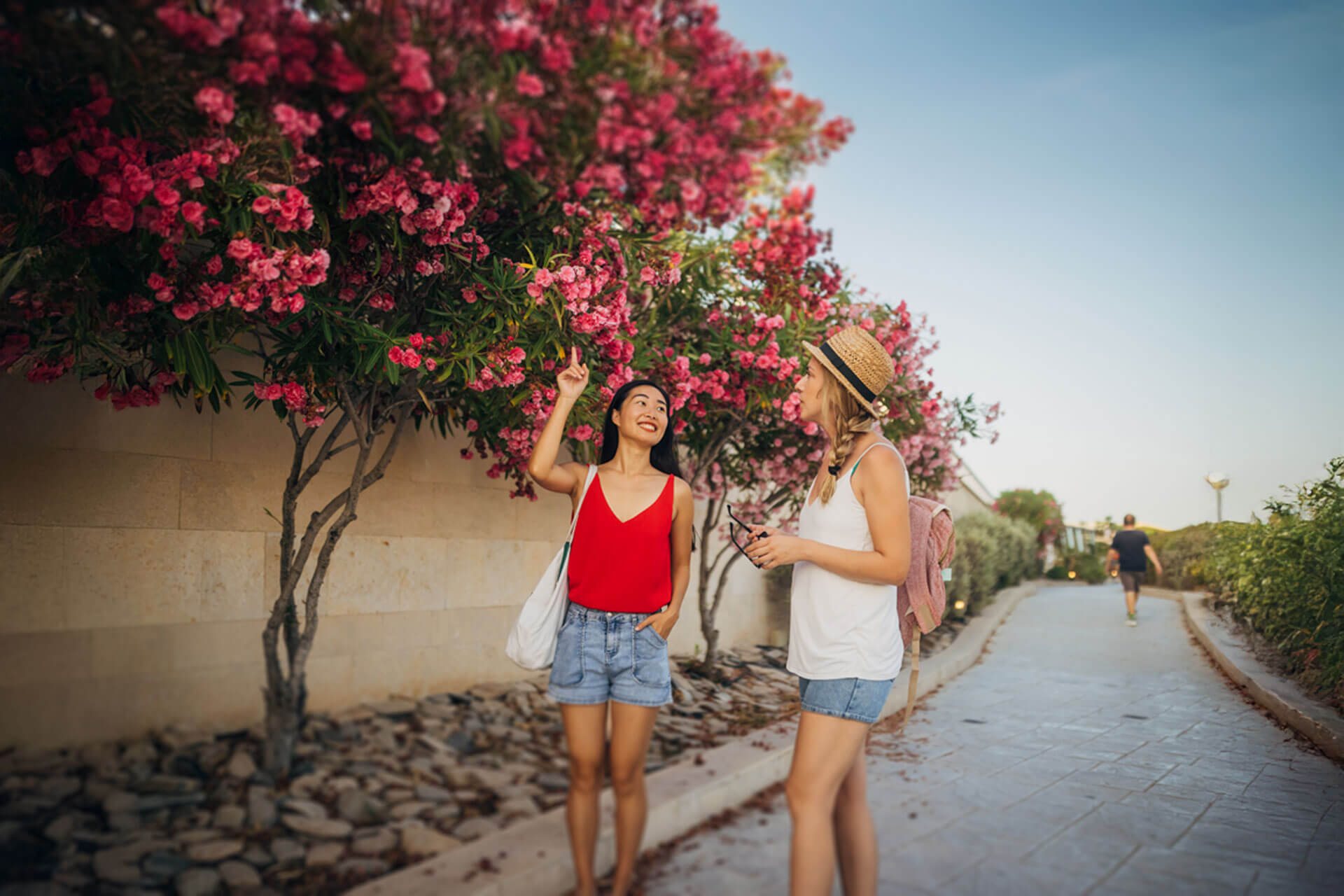 Zwei junge Frauen spazieren entlang blühender Sträucher und unterhalten sich während ihrer Sprachreise Englisch lernen im Ausland