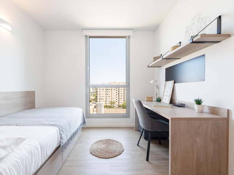 Modernes Einzelzimmer der Residenz in Fuencarral, Madrid mit Bett, Schreibtisch und viel Tageslicht – Unterkunft für Sprachschüler