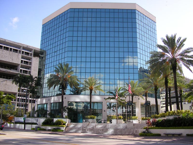 TLA The Language Academy