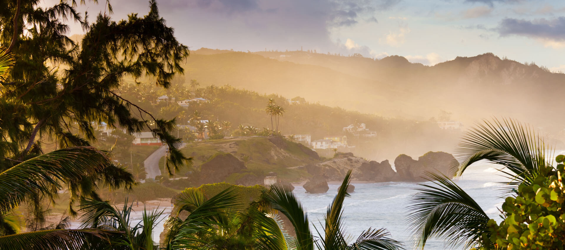 Küstenhügel bei Bathsheba im Abendlicht mit Palmen, Sprachreise am Surfspot Soup Bowl.