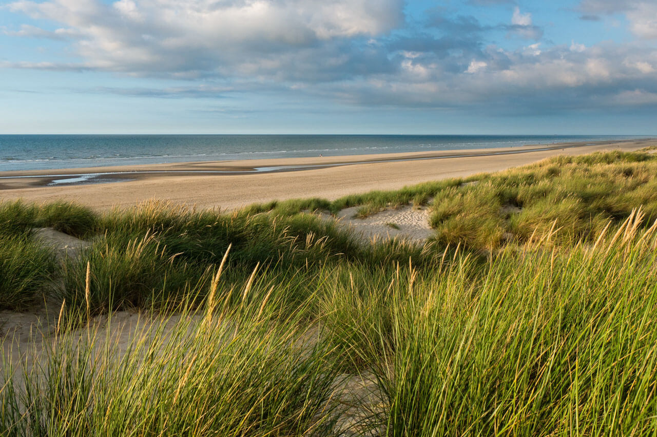 Weite Dünenlandschaft an der belgischen Küste, Sprachreise Englischkurs am Meer