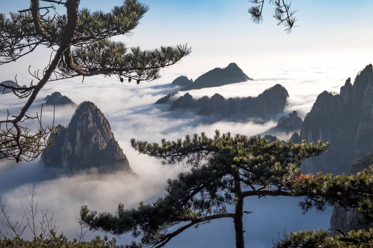 Nebelverhangene Berge und Pinien im Huangshan-Gebirge zeigen Chinas beeindruckende Landschaft