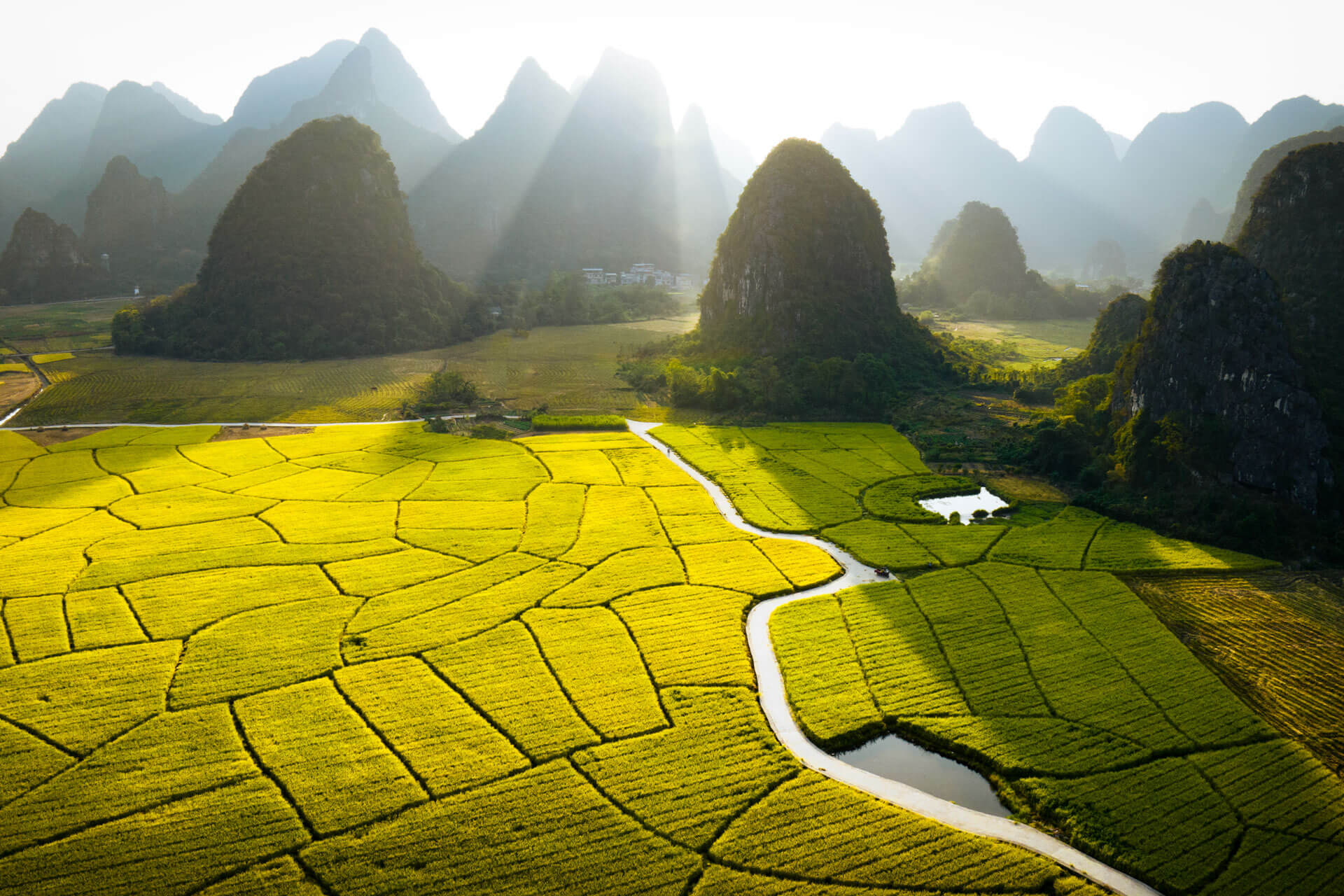 Sonnenstrahlen über grünen Reisfeldern und Karstbergen in China.