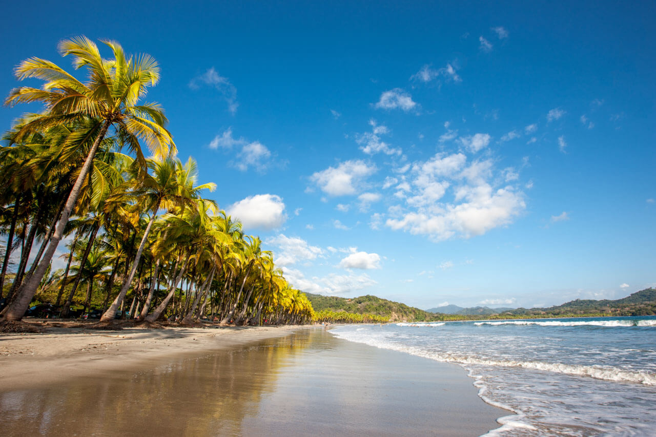 Strand mit Palmen an der Nicoya Halbinsel Costa Rica Sprachkurs in tropischer Umgebung