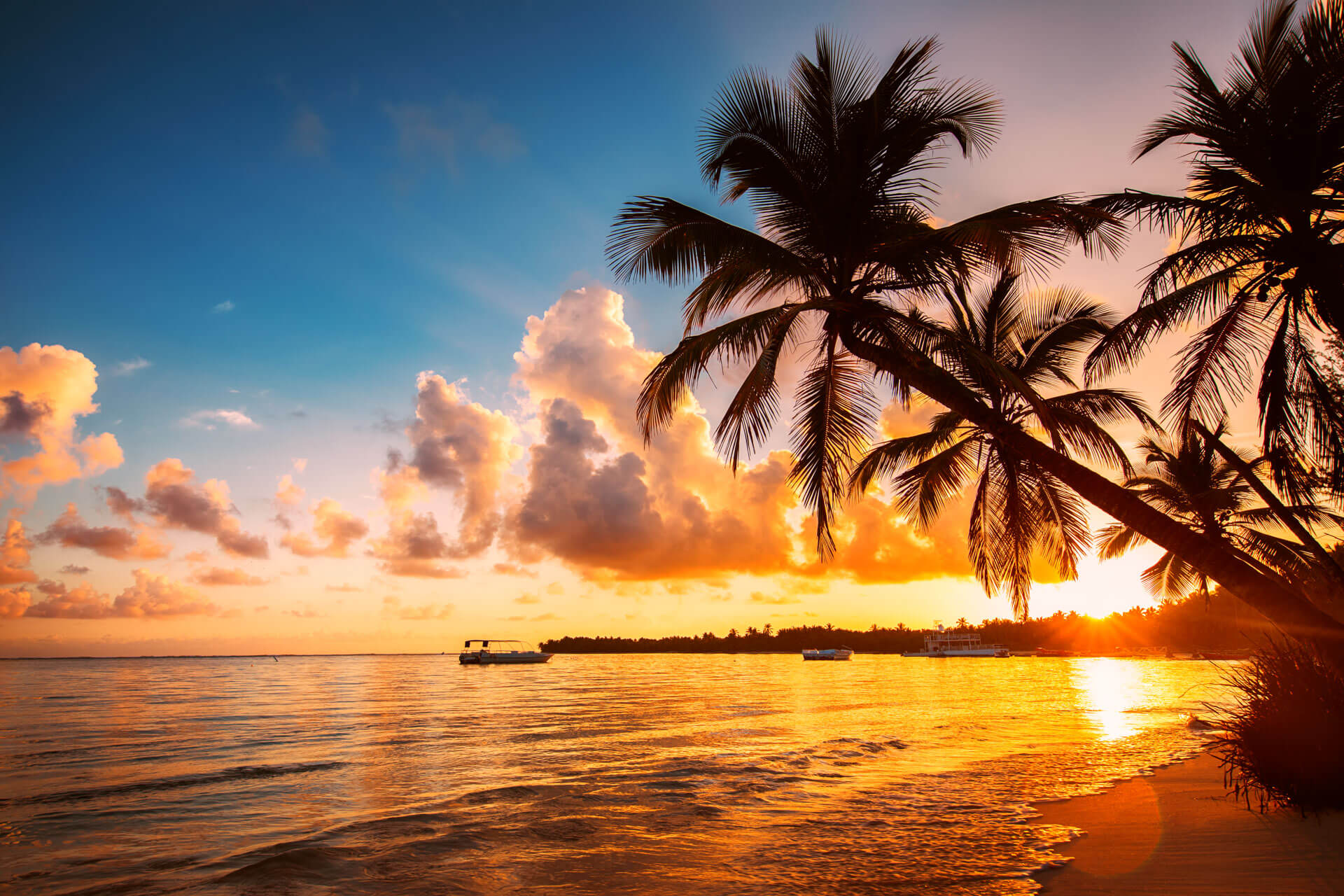 Palmenstrand im Sonnenuntergang Costa Rica Spanisch Sprachreise am Meer