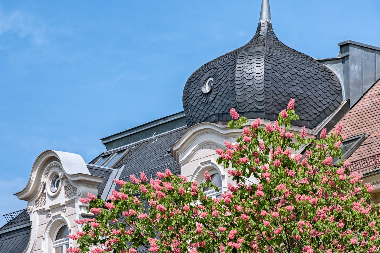 Jugendstil Dach und rosa Blüten vor Himmel, Wortschatz zu Architektur und Farben im Deutschkurs.