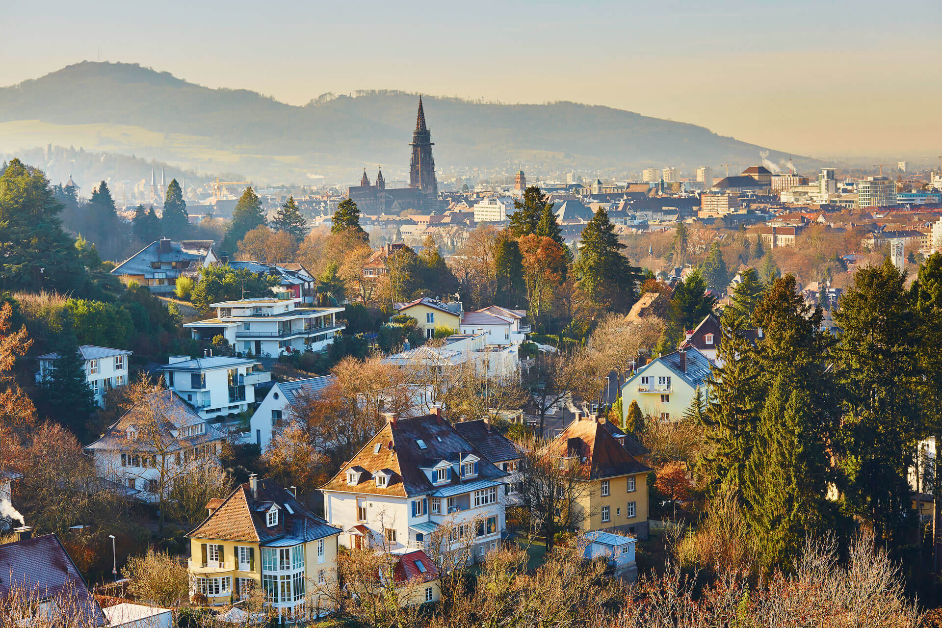 Herbstpanorama über Freiburg im Breisgau mit Münster und Schwarzwald im Hintergrund.