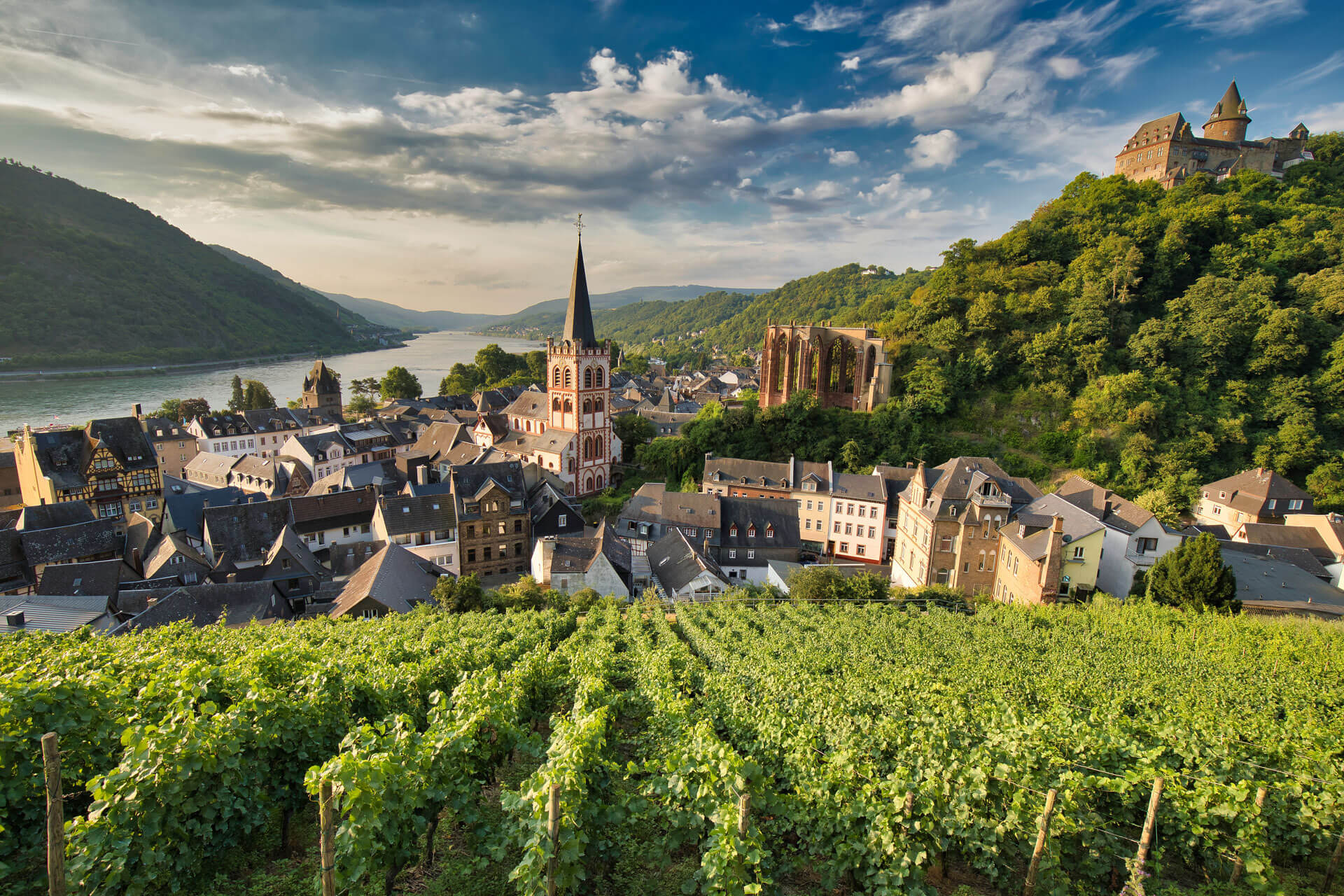 Weinberge und Altstadt am Fluss, Sprachreise Deutschland und Deutsch lernen im Alltag.