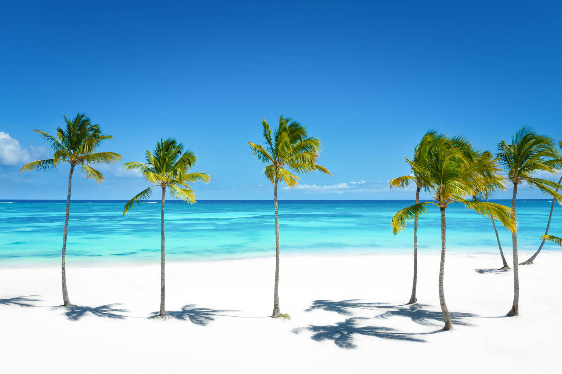 Palmen am weißen Sandstrand mit türkisblauem Meer Sprachreise Dominikanische Republik Grammatik üben