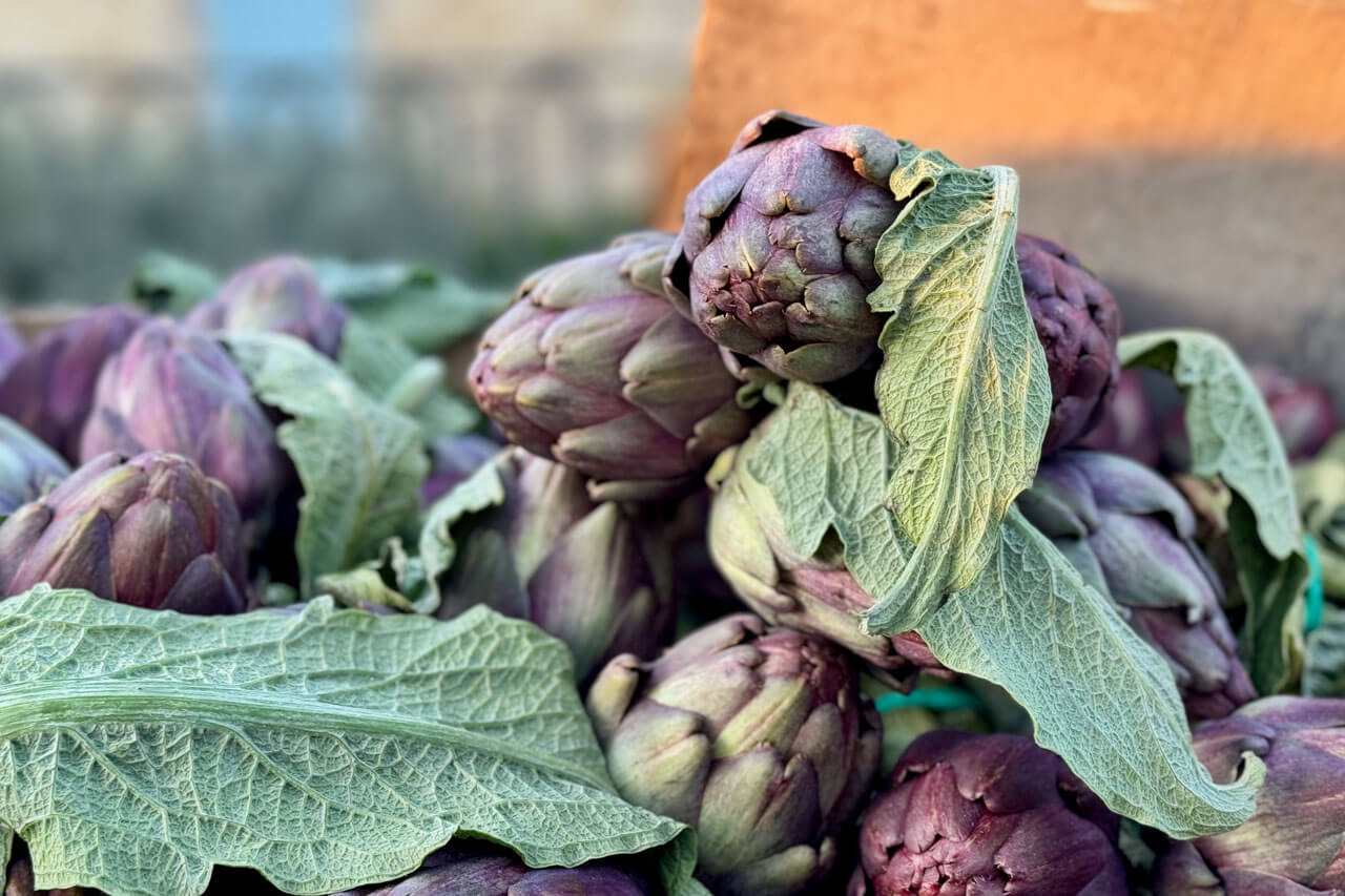 Frische Artischocken auf Markt Aix en Provence Sprachreise Französischkurs Alltagssprache lernen