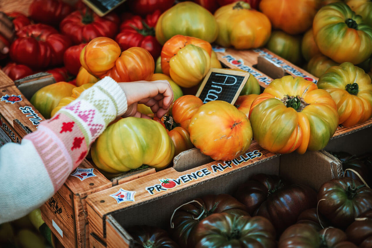 Tomatenauswahl auf Markt in Annecy Sprachkurs Französisch Konversation üben beim Einkaufen