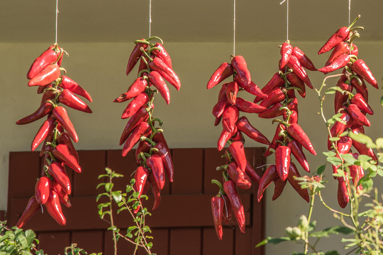Rote Paprika Piment d’Espelette in Biarritz Sprachreise Französischkurs Alltagssprache trainieren beim Einkaufen