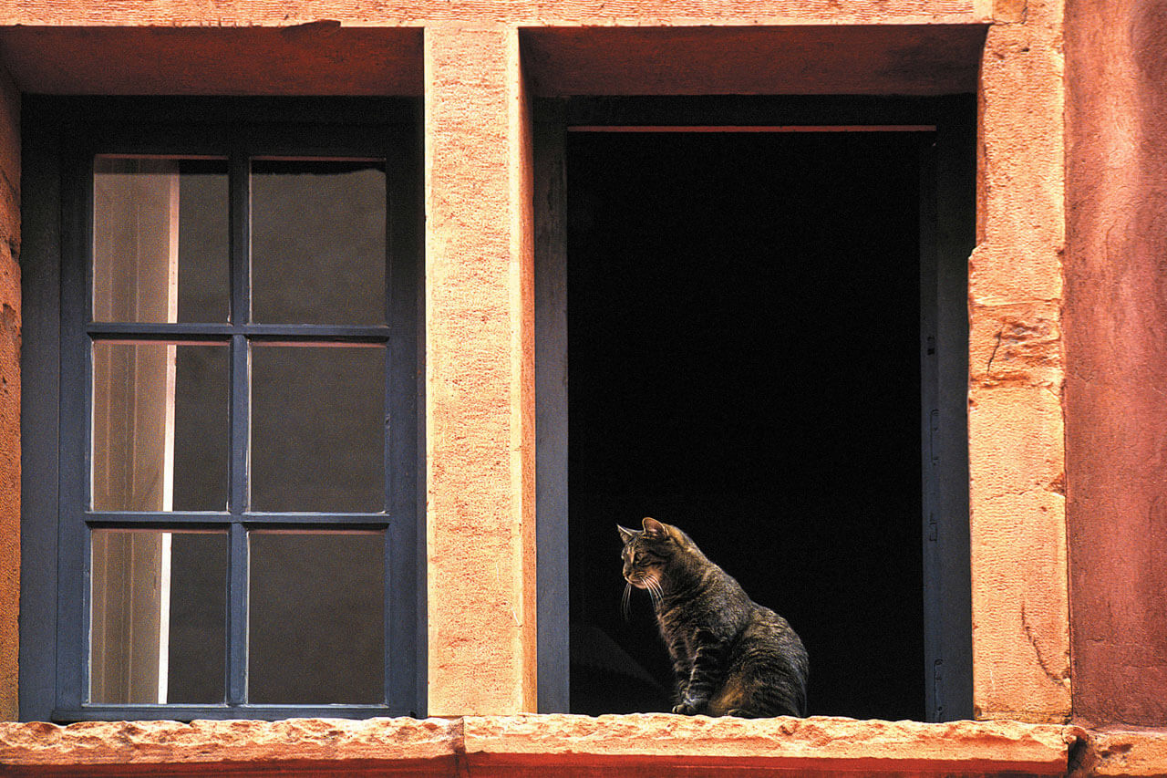 Katze sitzt im Fenster eines Hauses Grammatik üben im Sprachkurs