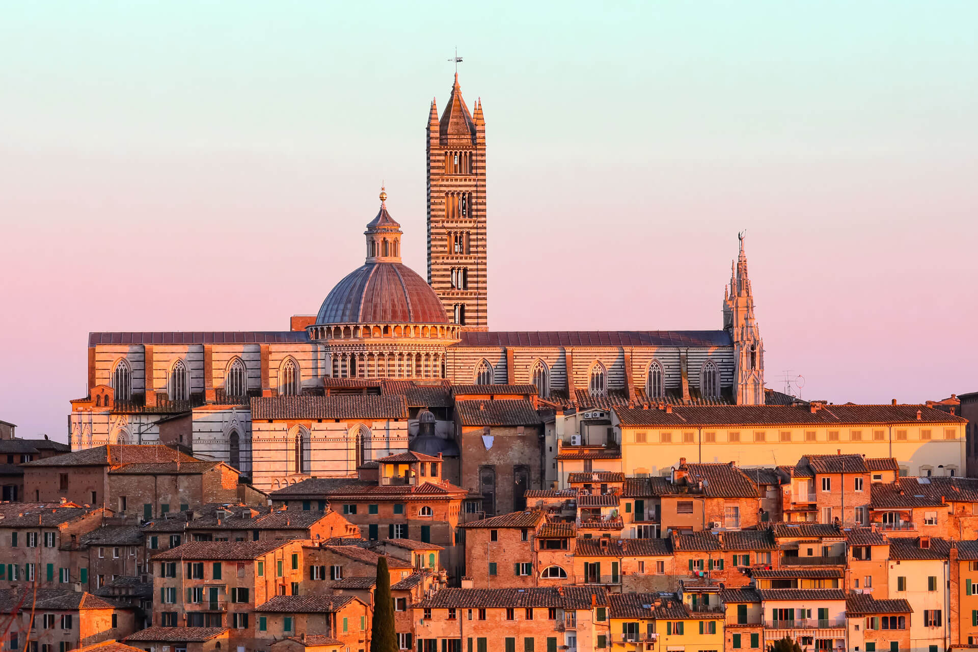 Panorama von Siena mit Kathedrale im Abendlicht Sprachreise erleben und Vokabeln erweitern