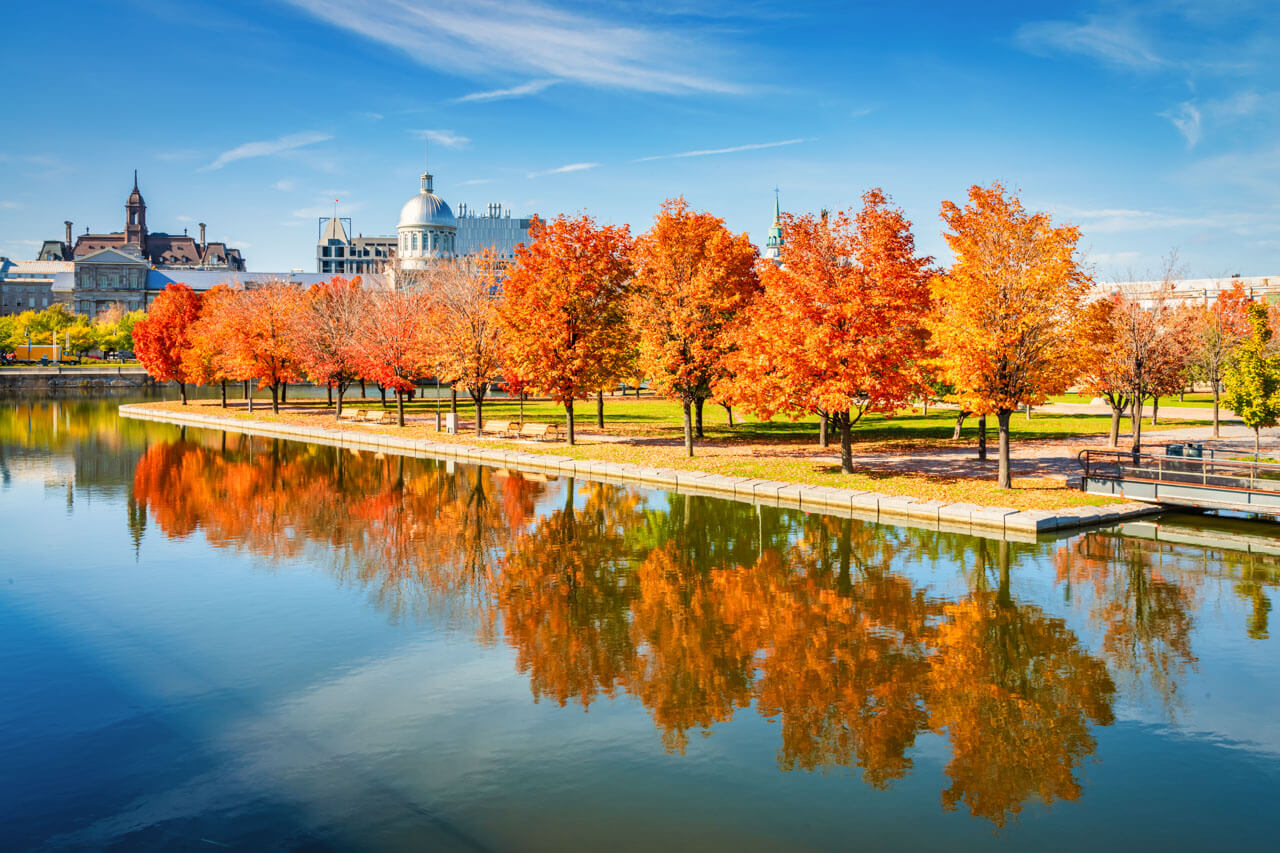 Herbstallee mit Spiegelung am Wasser, Grammatik und Konversation vertiefen auf Sprachreisen