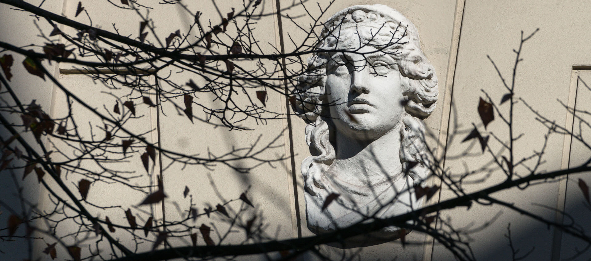 Detail einer Jugendstilfassade in Riga steinerne Frauenbüste hinter von Zweigen geworfenen Schatten