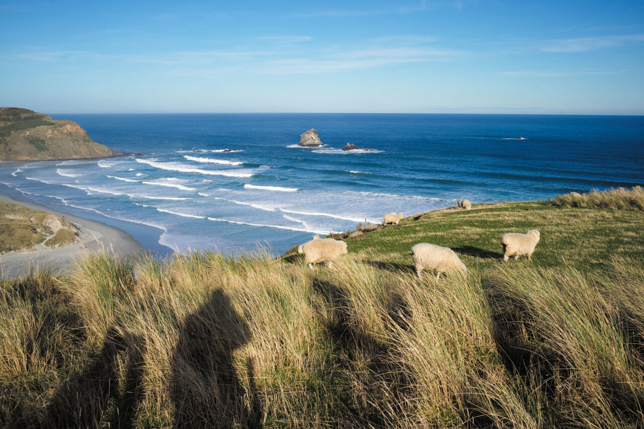 Küste mit Wellen und weidenden Schafen, Hörverstehen trainieren bei Wind und Meer.