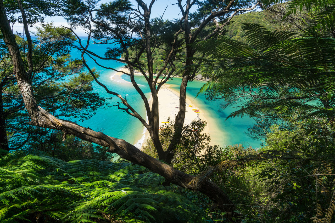Türkise Bucht mit Sandbank zwischen Bäumen, Grammatik trainieren in der Natur.