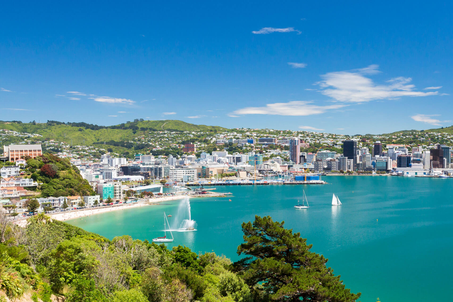 Wellington Harbour mit Skyline und Segelbooten, Sprachkurs am Wasser.