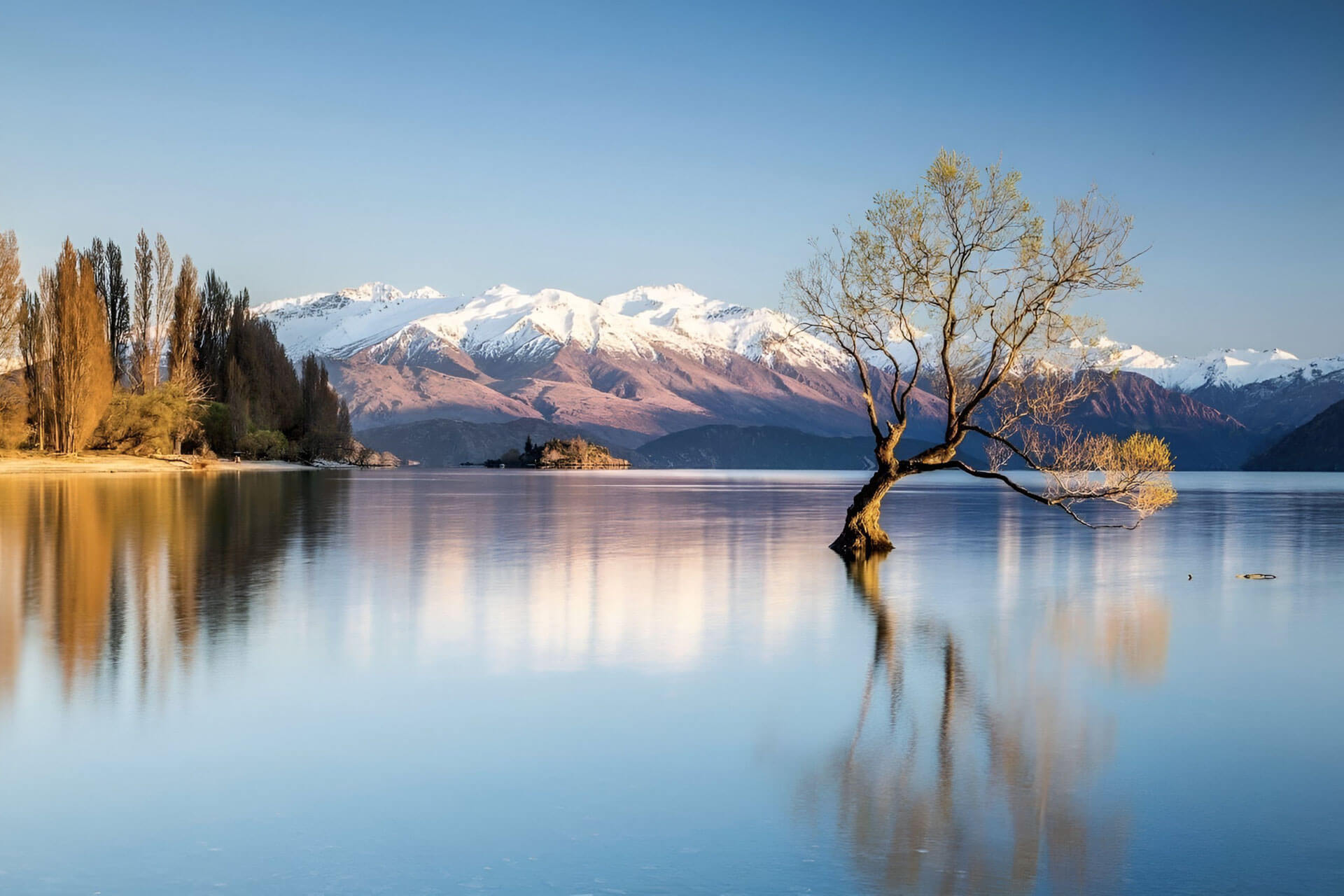 Baum im stillen See mit Bergpanorama und Spiegelung, perfekte Kulisse für eine Sprachreise.