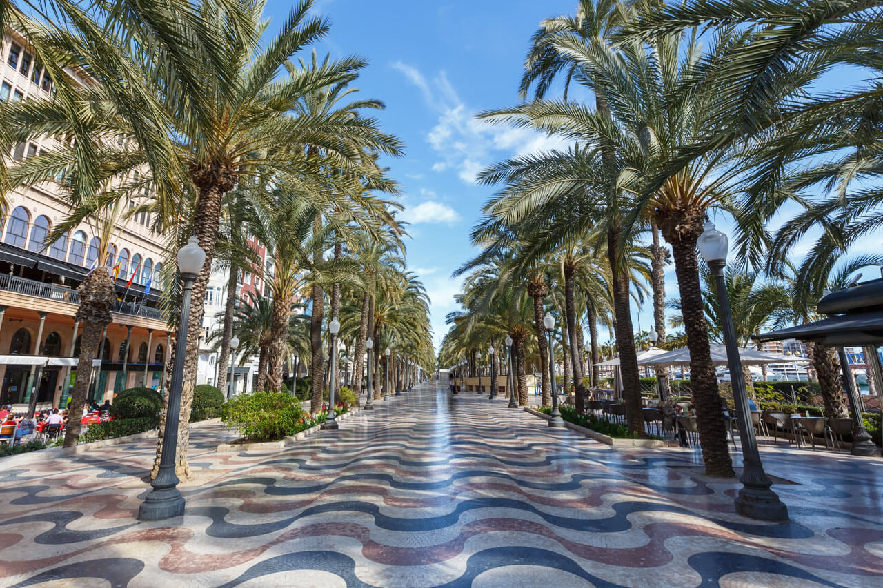 Palmenallee mit Mosaikpromenade, Grammatik trainieren auf der Sprachreise