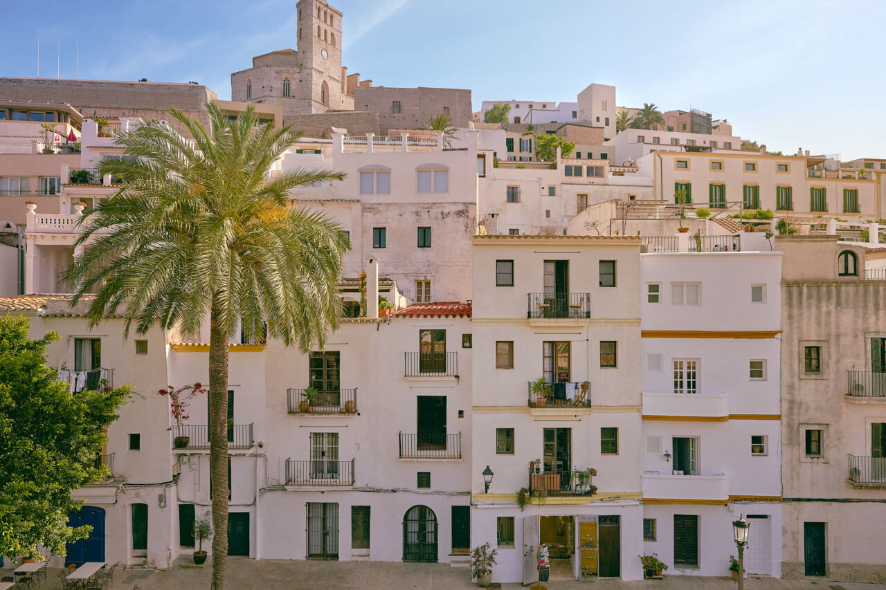 Dalt Vila in Ibiza-Stadt – gestaffelte weiße Häuser und Palmen, im Hintergrund die Kathedrale.