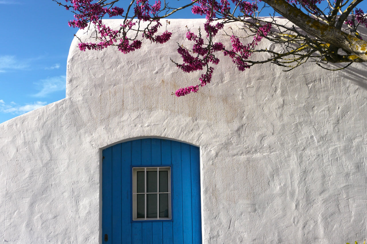 Weiß gekalkte Finca-Fassade mit blauer Holztür; darüber ein blühender Zweig vor klarem Himmel.