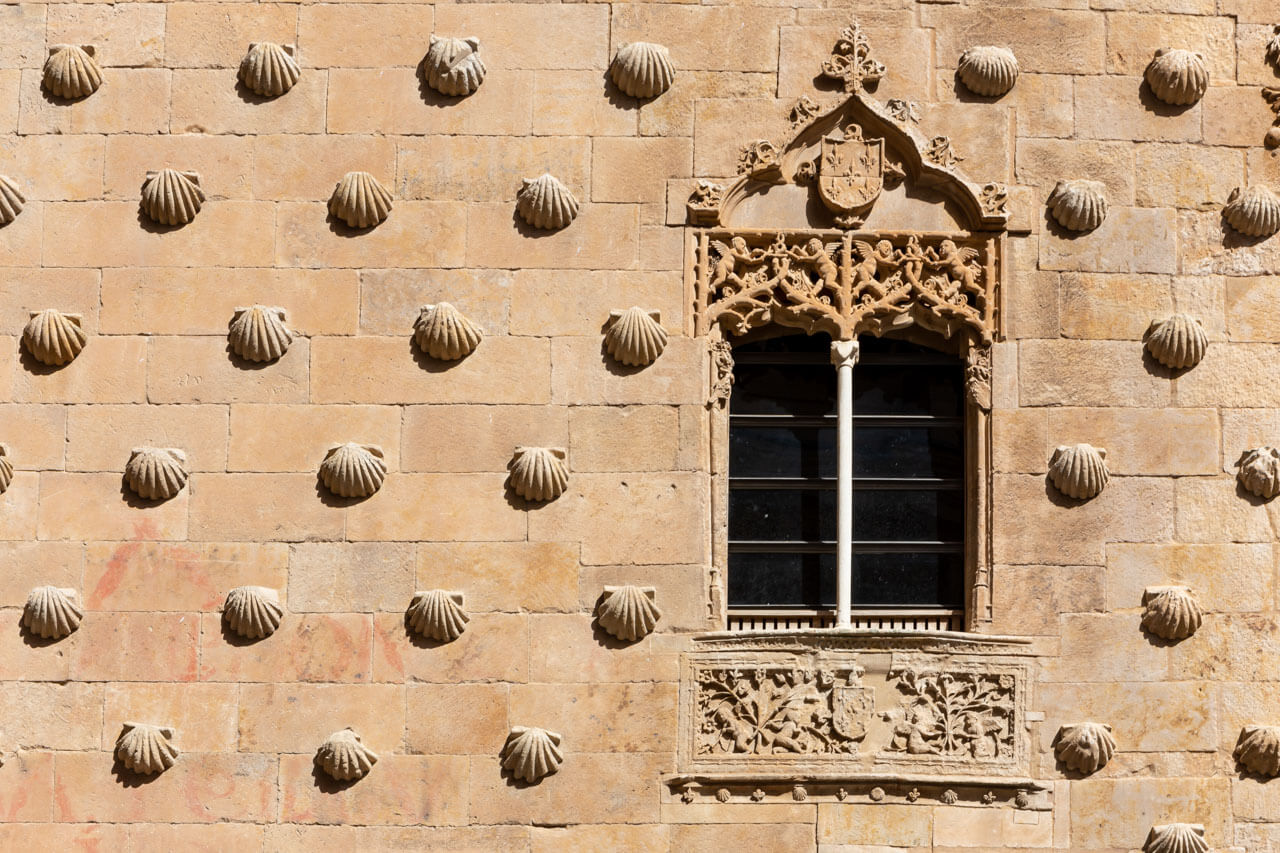 Detail der Casa de las Conchas: Fassade mit Steinmuscheln und reich verziertem gotischen Fenster in Salamanca.