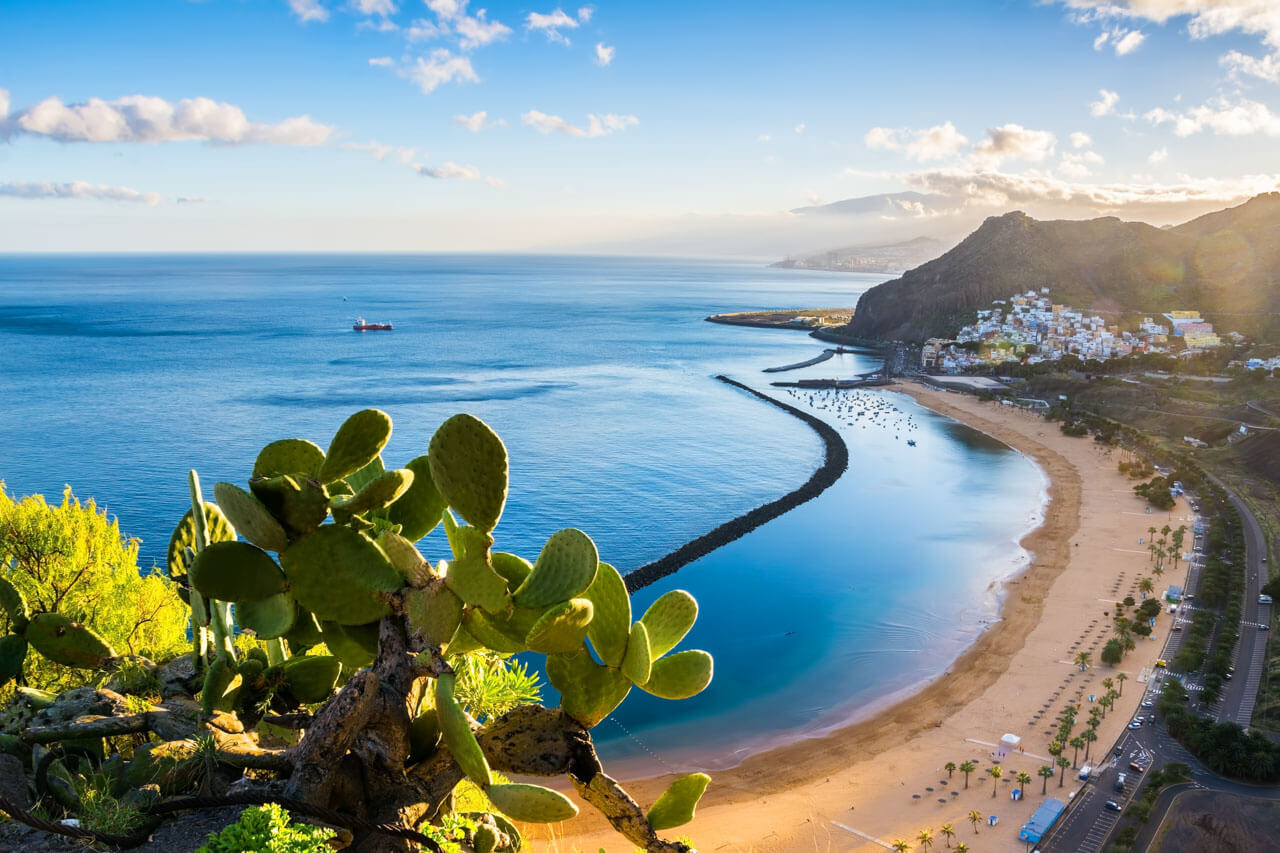 Aussicht auf die Playa de Las Teresitas mit goldgelbem Sand, Wellenbrechern, türkisblauem Meer und Kakteen im Vordergrund.