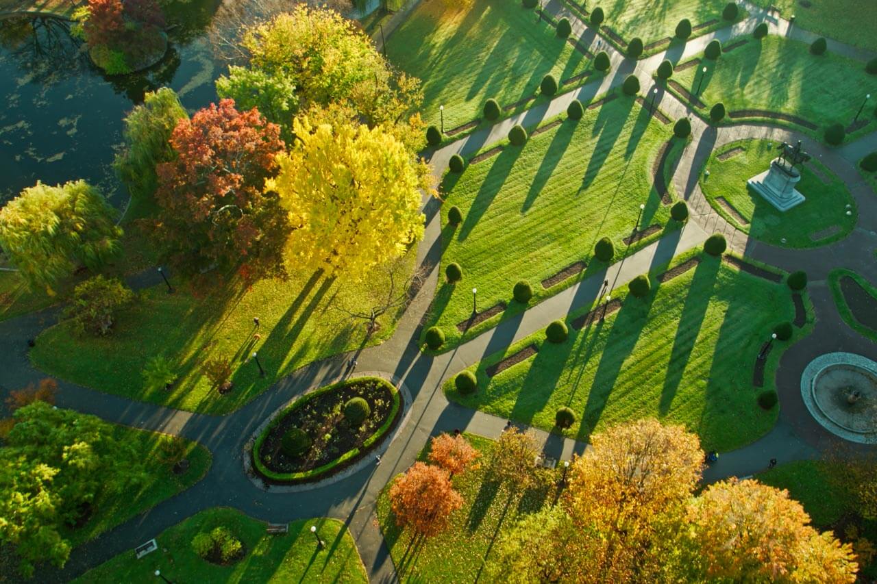 Boston Common aus der Luft bei Herbstlicht, Sprachreise mit Lernen im Grünen.
