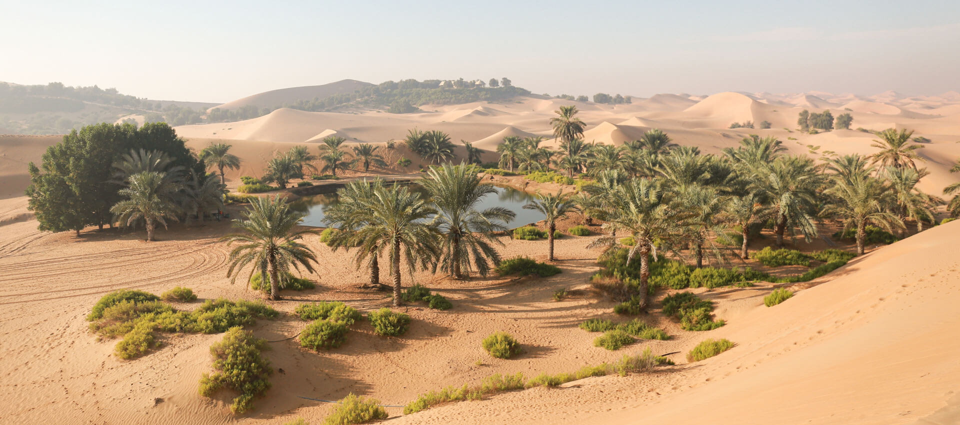 Oase mit Palmen in der Wüste, Sprachkurs mit Naturerlebnis.