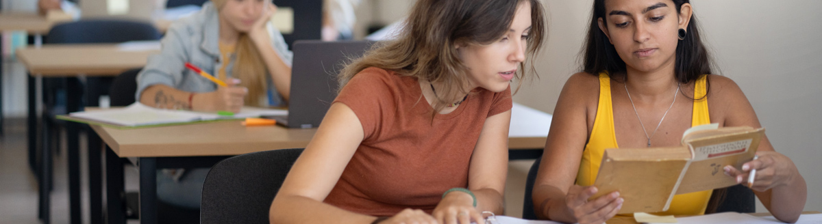 Zwei Studentinnen lernen konzentriert gemeinsam im Sprachkurs für Prüfungen.